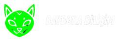 transparentNeon Green Logo